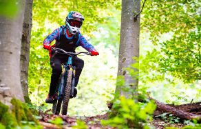 Ein Mountainbiker fährt auf einem schmalen, unebenen Weg durch einen grünen Wald, umgeben von Bäumen und Pflanzen.