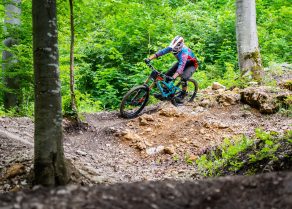 Ein Mountainbiker in farbiger Ausrüstung fährt eine schmale, steinige Waldstrecke entlang.