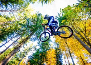 Ein Mountainbiker springt in der Luft, umgeben von hohen, herbstlichen Bäumen.