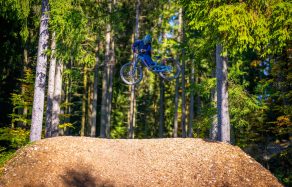 Person springt mit Mountainbike über Hügel im dichten, grünen Wald.