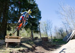 Ein Radfahrer springt mit einem Mountainbike über eine Holzrampe, umgeben von Bäumen und einem blauen Himmel.