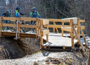 Vier Mountainbiker mit Ausrüstung stehen auf einer hölzernen Brücke im Wald.