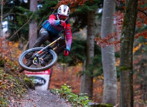 Ein Mountainbiker springt dynamisch durch einen herbstlichen Waldpfad, umgeben von bunten Blättern.