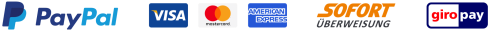 PayPal, Visa, Mastercard, American Express, Sofortüberweisung, Giropay Logos in einer Reihe.