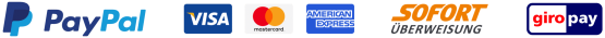 PayPal, Visa, Mastercard, American Express, Sofortüberweisung, Giropay Logos in einer Reihe.