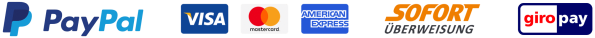 PayPal, Visa, Mastercard, American Express, Sofortüberweisung, Giropay Logos in einer Reihe.
